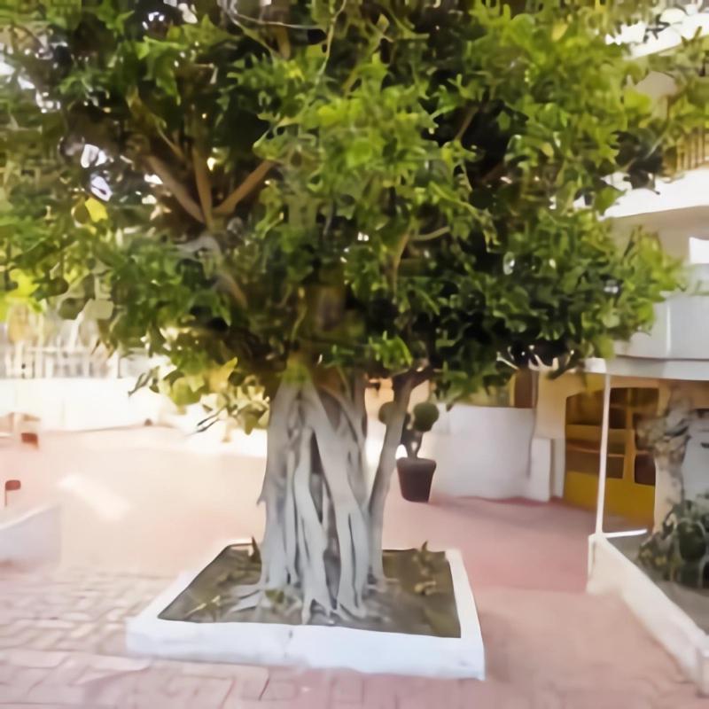 Luminoso Apartamento En Salou Con Terraza Y Parque Infantil Ideal Familias Εξωτερικό φωτογραφία